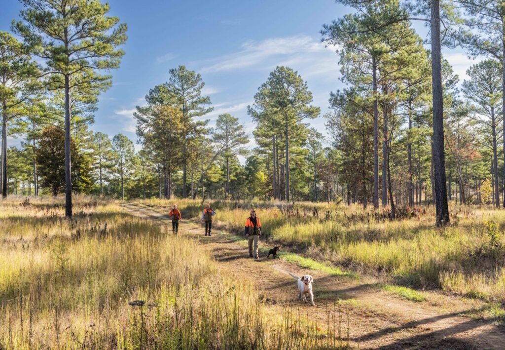 BRN_Beretta_Hunters_and_Dogs_1-1300x900