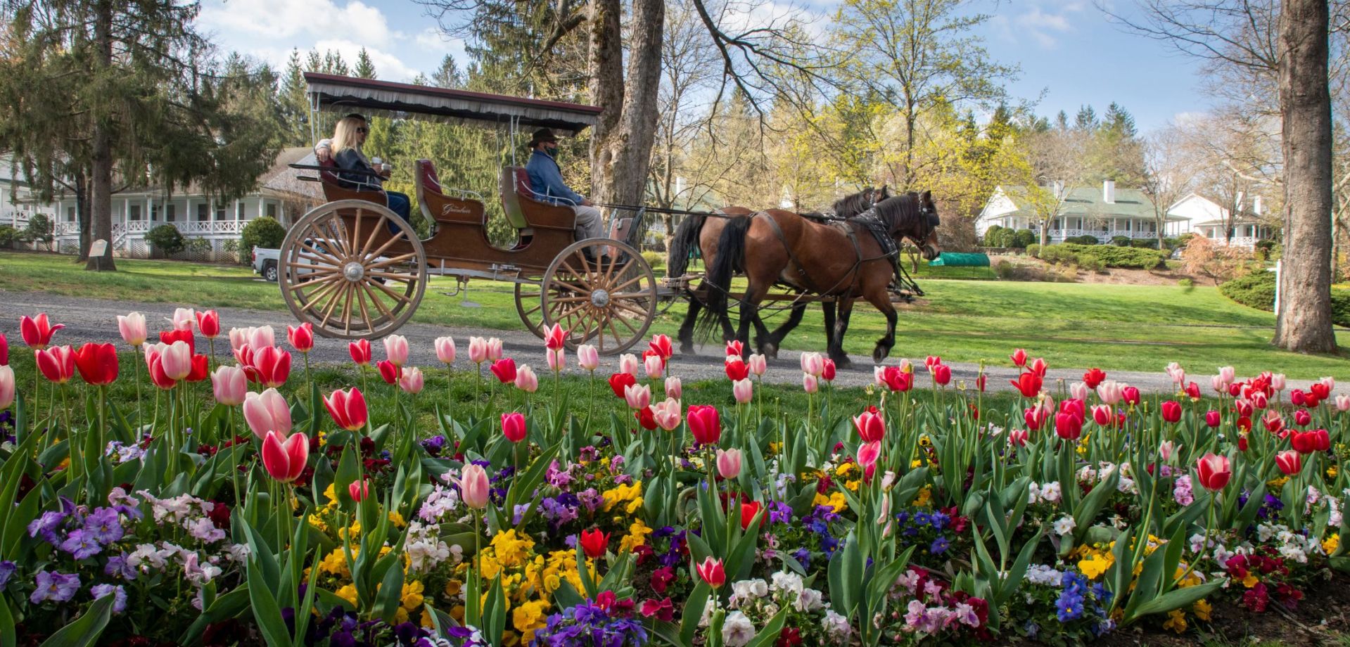 The Greenbrier’s Timeless Success with SendSites: A Partnership Built on Excellence